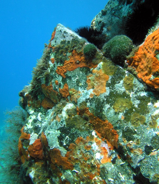 i colori del mare